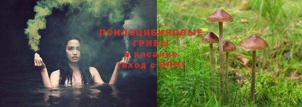 дмт Алексин