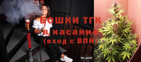 дмт Алексин