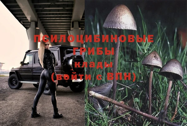 дмт Алексин